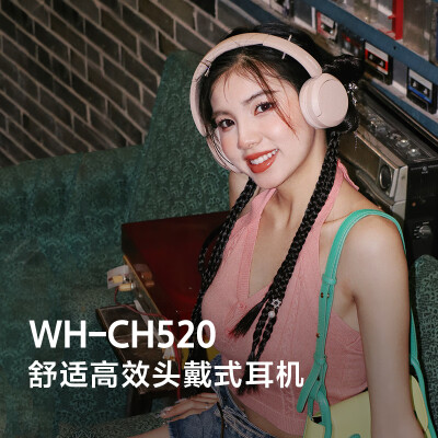 索尼wh-ch520和510哪个好？有啥区别？