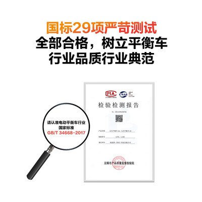九号（Niebot）L6L8具体型号参数以详情页为准怎么样？评价好吗？