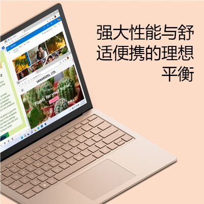 surfacebook和laptop哪个好？区别大吗？