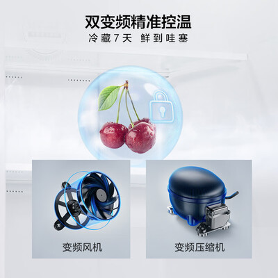 能跟我说说TCL冰箱 210升内幕分析测评？说说半个月真相分享！