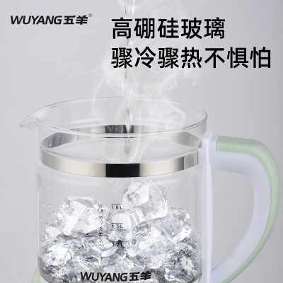 五羊多功能养生壶 1.8l和1升哪个好？有区别没有？