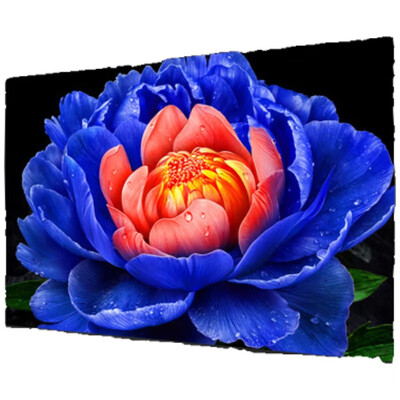 全方位分析TCL电视75V8L Pro和TCL电视75Q10K哪个好一些？有啥区别？深度剖析亮点与选购细节