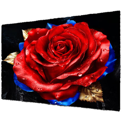 深入揭秘TCL电视55T5L-JN和TCL电视55T8H哪款好一些？有啥区别？揭秘质量口碑