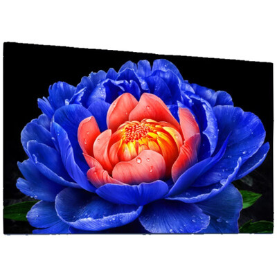 高手分析TCL电视65V8L Pro和TCL电视65V8H Pro-J哪款更好？有什么区别？透过细节揭秘实情