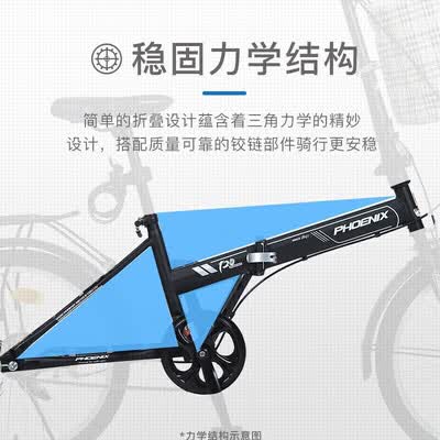 凤凰路雪怎么样?牌子好吗?