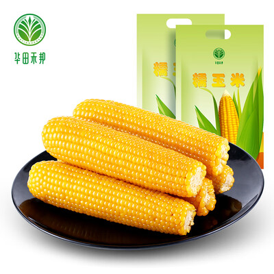 华田禾邦甜糯黄玉米怎么样?好不好?