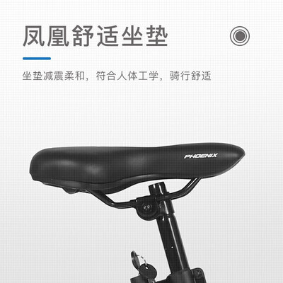 凤凰路雪怎么样?谁用过评价?