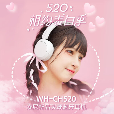 索尼wh-ch520和510哪个好？有区别没有？