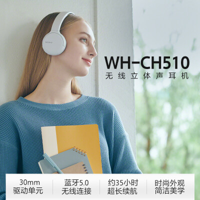 了解区别索尼whch510和jbl500bt哪个好，分析比较哪个好？