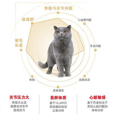 皇家猫粮怎么样?有谁用过?