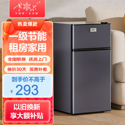 现代冰箱和雪花冰箱哪个好?有啥区别?