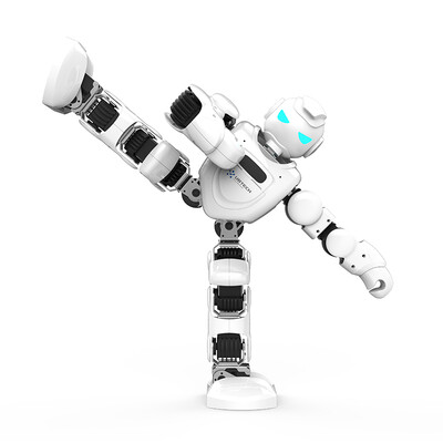 优必选Alpha Ebot怎么样?有谁用过?