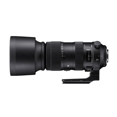 适马60-600mm F4.5-6.3 DG OS HSM怎么样?上档次吗?