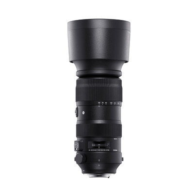 适马60-600mm F4.5-6.3 DG OS HSM怎么样?评价如何?