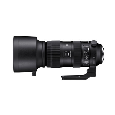 适马60-600mm F4.5-6.3 DG OS HSM怎么样?测试如何?