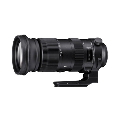 适马60-600mm F4.5-6.3 DG OS HSM怎么样?好不好用?