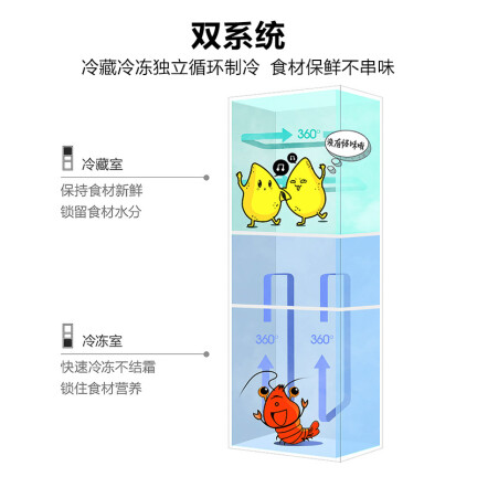 美的BCD-226WTM(E)怎么样？测试如何？