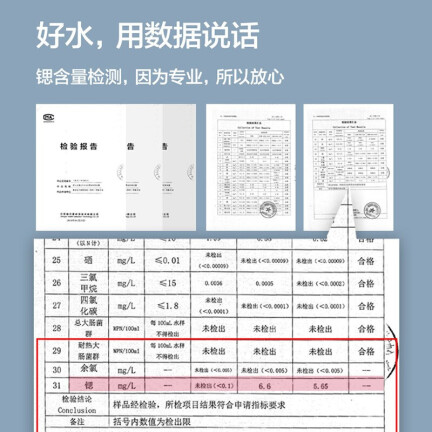 碧云泉R601怎么样？质量好吗？