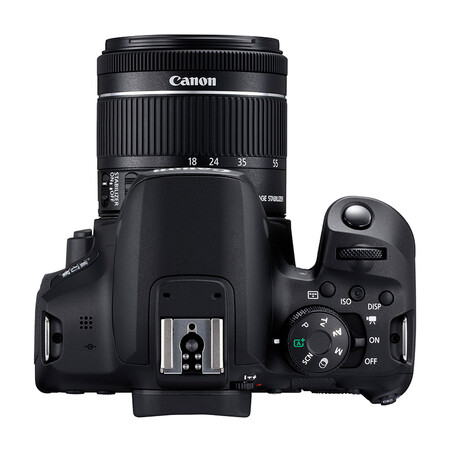 佳能EOS 800D怎么样？质量如何？