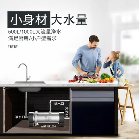 惠尔顿超滤过滤器中央净水器WHT-P06-500怎么样?质量如何?