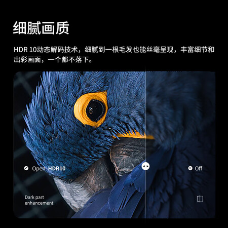 网友体验知麻M1 投影仪家用 投影仪 投影机 家庭影院 会议卧室超质量评测好不好用？看看一星期心得分享！！