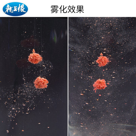 良心体验龙王恨（LOONVA）鱼饵评测划算不？使用后是怎么样的感受！