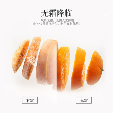 松下255升风冷无霜三门冰箱怎么样？测试如何？