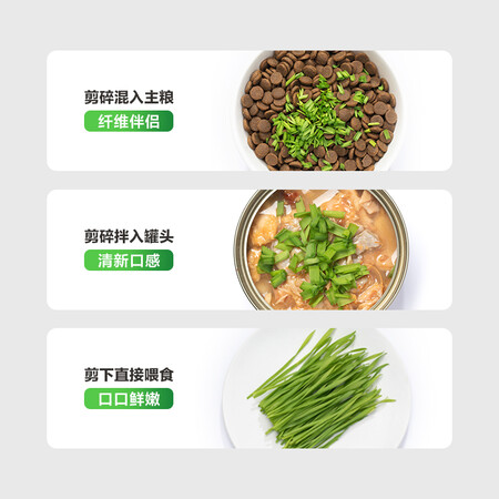 真实剖析网易严选无土懒人猫草是不是真的啊？入手超值的吗！