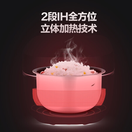大松电饭煲40x61和40x62哪个好?有何区别?