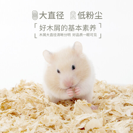 真实点评一下布卡星BSY-004可以买不？真相揭秘啦！