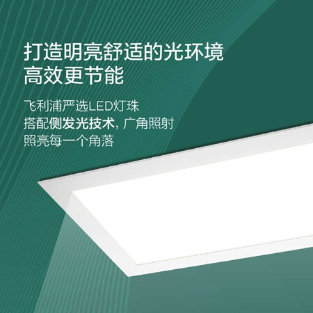 客观评价一下飞利浦RC087B 22W840 W30L60 CPC G2质量真实如何？体验者讲述真实经历！