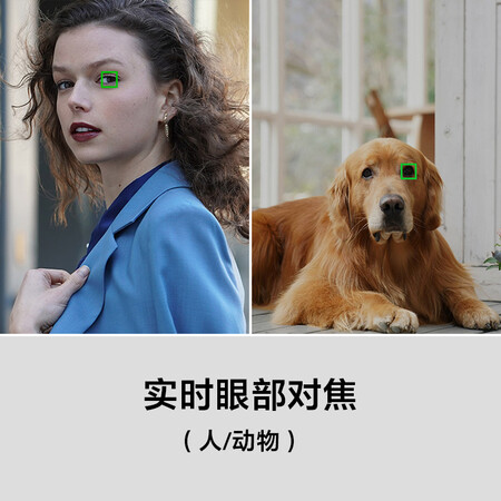 索尼ILCE-7M3怎么样?有谁用过?