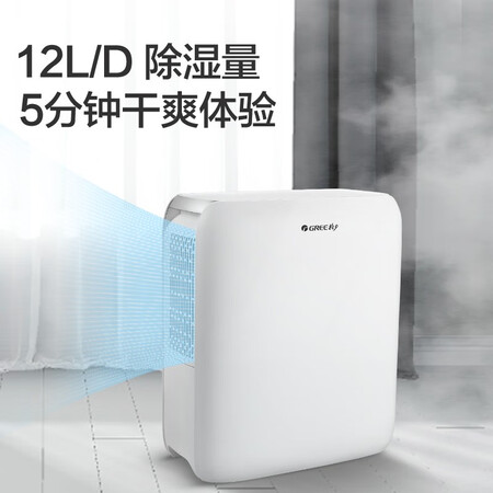 讨论点评格力（GREE）DH12EN销量如何？用了三周后心得分享！！