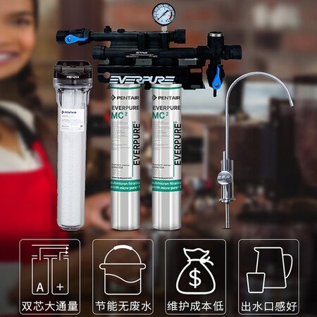 爱惠浦Coldrik2-MC2净水量3300L直饮净水器怎么样?使用评价好吗?