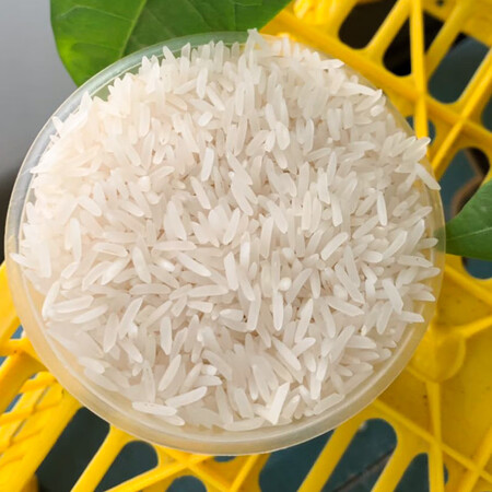 说说入手使用金凤凰玉竹 当季新米 马贝油粘米15kg  韶关30斤大米 细米软糯  晚稻 家庭优缺点曝光分析？评测分析结果告知！