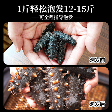 对比剖析参王朝 大连底播淡干海参干货辽刺参家庭简装海鲜水产礼盒 8A 实惠装8年25优缺点分析参考？全新质量反馈揭秘！！