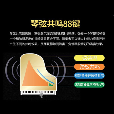 电钢琴卡西欧ap470和飘逸系列哪个好?区别是什么?