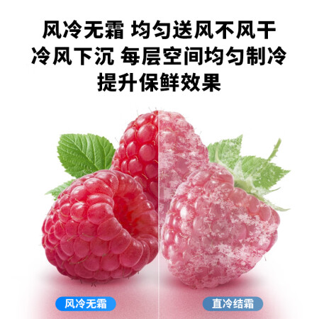 创维 450升 双开门冰箱怎么样？牌子好吗？