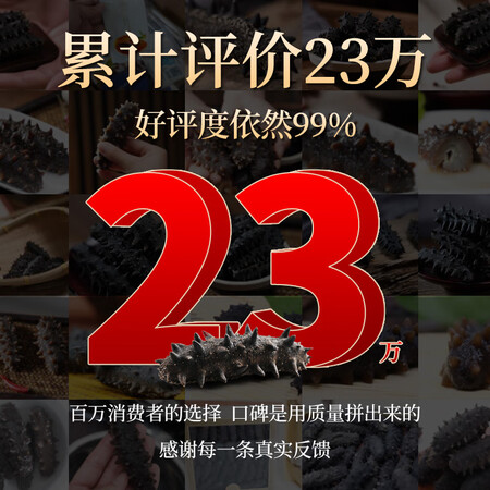 感受体验点评参王朝 大连底播淡干海参干货辽刺参家庭简装海鲜水产礼盒 8A 实惠装8年25评测反馈如何？真实感受咋样！