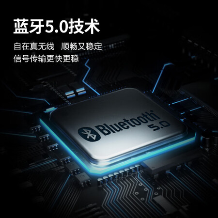 聆耳nc100和dyplay哪个好？区别是？