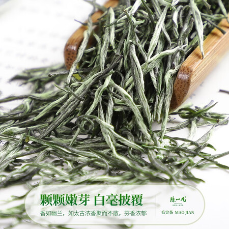 反馈揭秘陈一凡 毛尖茶 茶叶绿茶新茶 明前一级高山嫩芽浓香型茶叶袋装250克真的好吗？使用一年客观点评！