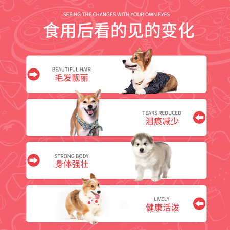 到手点评贝爵狗粮 幼犬成犬通用中小型犬小颗粒奶糕粮泰迪比熊博评测怎么样？网友分析评测！