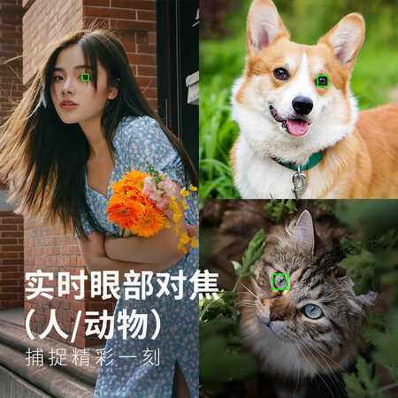 索尼a6100和a6400哪个好？区别大不大？