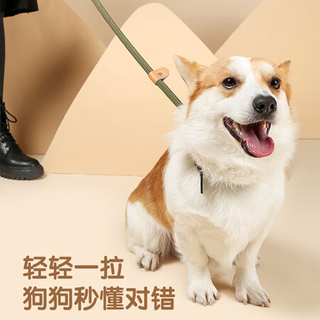 请教爆料M-PETS6020140000062质量真实如何？优缺点曝光测评！