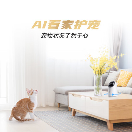华为智选hq8对比小豚哪个好?有何区别?
