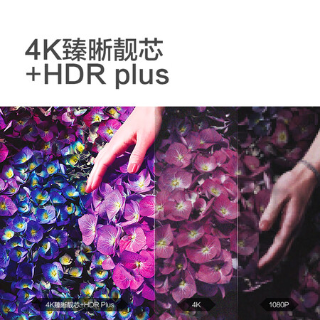 平板电视飞利浦65puf7295t3和65puf7294T3对比哪个好?区别有吗?