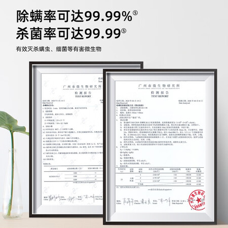 BEKODRUP 30014 W吸尘器怎么样?质量好吗?