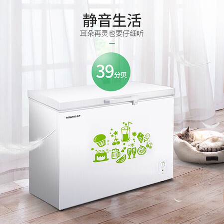 容声309升 冰柜怎么样？评测好吗？