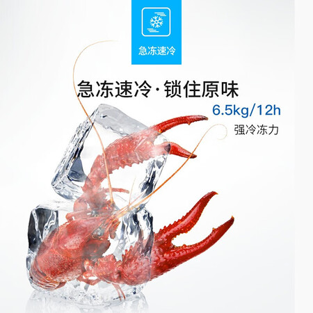 美菱221升冰柜怎么样？做工如何？