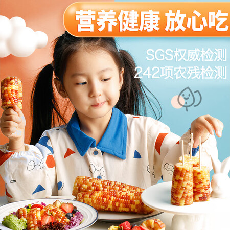 使用后点评东北农嫂东北农嫂 糯玉米棒代餐杂粮真空包装低脂粗粮 【值不值的买？说说一周感受告知！